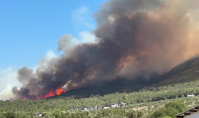 Manisa’nın Soma ilçesinde orman yangını