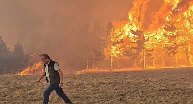 Mudurnu’daki orman yangını sonrası 1 kişi tutuklandı