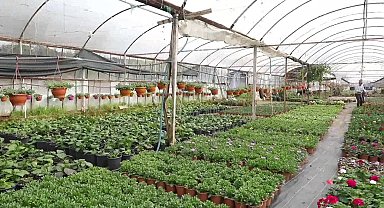 Muğla Büyükşehir Belediyesi'nin alım garantili çiçek üretimiyle 23 milyon TL tasarruf sağlandı