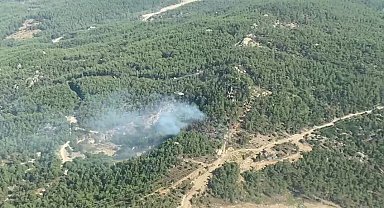 Muğla'da orman yangını çıktı