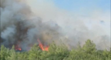 Muğla Seydikemer’de orman yangını