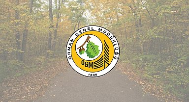OGM: Çanakkale Gelibolu'da çıkan orman yangını büyük ölçüde kontrol altına alındı