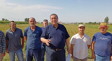 Ömer Fethi Gürer: