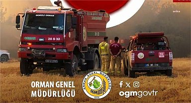 Orman Genel Müdürlüğü: Bu yıl şu ana kadar 5 binden fazla yangınla mücadele ettik