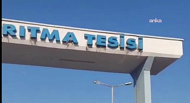 Osmaniye belediyesine ait hayvan barınağında bir köpeğin boğularak öldürüldüğü iddia edildi