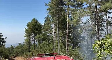 Osmaniye’nin Zorkun yaylasında orman yangını 