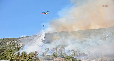 Pamukkale yangınına havadan ve karadan müdahale ediliyor 