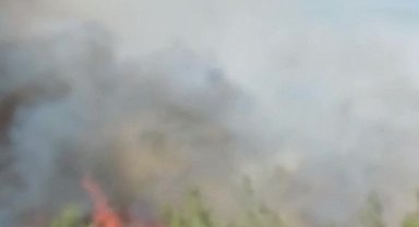 Seydikemer'deki yangın kontrol altına alındı