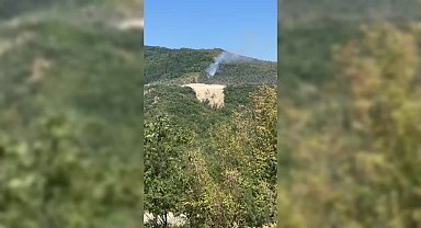 Sinop’ta orman yangını