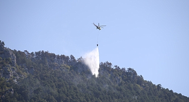 Sinop'taki orman yangınında soğutma çalışmaları sona erdi