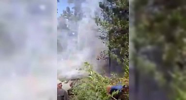 Sinop’un Durağan ilçesinde çıkan yangın kontrol altına alındı