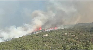 Soma’da orman yangını: Kozanlı Mahallesi tahliye edildi, bir kişi gözaltında