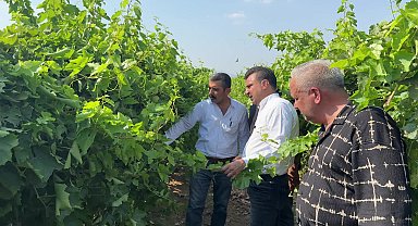 TARSİM yaptıran çiftçiye destek yok: “Çiftçi TARSİM yaptırdığı için cezalandırılıyor”