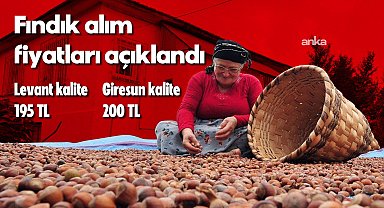 Toprak Mahsulleri Ofisi, 2025/2026 sezonu kabuklu fındık alım fiyatlarını açıkladı: Giresun kalite 200 TL, Levant kalite 195 TL