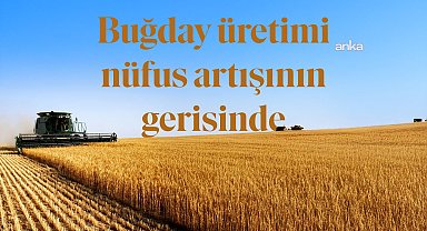 Türkiye nüfusu son 14 yılda 12 milyon artarken buğday ekilen tarım arazileri 1 milyon hektar azaldı
