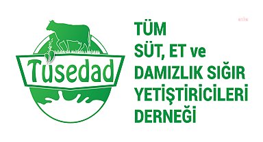 TÜSEDAD: