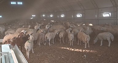 Yozgat’ta besicilere çadır ağıl desteği