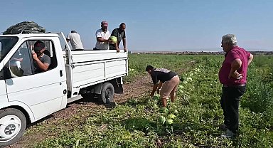 Yozgat’ta karpuz hasadı başladı, üretici girdi maliyetlerinden yakındı