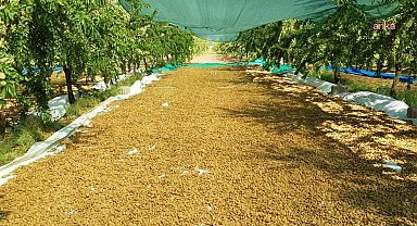 ABD menşeli tarım ürünlerinin vergisiz ithalatına Adıyaman'dan tepki: “Türkiye tarımı uluslararası pazarlıkların masasına bırakıldı”