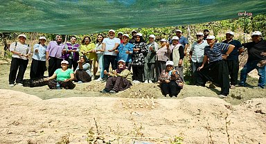 Adana’da kadınlar, ak zambakla üretime katılıyor