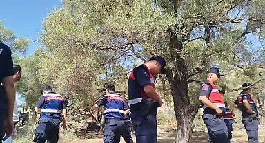 Akbelen’de zeytin ağaçlarının sökümüne karşı Danıştay'dan acil yürütmeyi durdurma istendi 