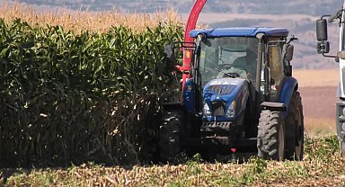 Ankara Büyükşehir Belediyesi, BAKAP’ta silajlık mısır hasadına başladı