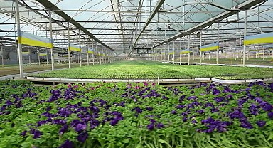 Antalya Büyükşehir Belediyesi Başkan Vekili Özdemir, bitki üretim tesisini gezdi 