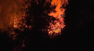 Antalya Büyükşehir Belediyesi İtfaiyesi’nden yangınlara hızlı ve etkin müdahale