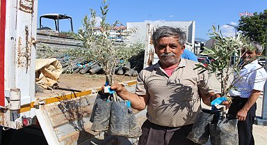  Antalya Büyükşehir Belediyesi’nden Gazipaşa’da çiftçiye zeytin fidanı desteği
