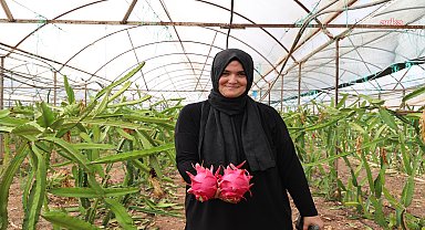 Antalya Büyükşehir Belediyesi’nden üreticilere katma değeri yüksek alternatif ürün desteği