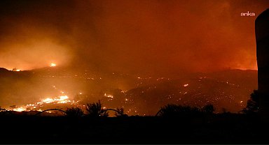 Antalya Orman Bölge Müdürlüğü: Alanya Aliefendi Mahallesi'nde başlayan orman yangını kontrol altına alınmıştır