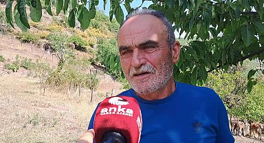 Ardanuçlu besici Bozkurt: 