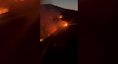 Aydın Söke’deki orman yangınına müdahale devam ediyor