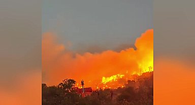 Balıkesir'de çıkan orman yangınına müdahale ediliyor