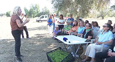 Belediyenin fide desteği sıfır şekerli gazoza dönüştü: Türkiye’de ilk kez şeker ilavesiz stevia gazozu üretildi