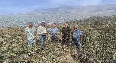 CHP’li Karakoz: “Dünyanın en kaliteli pamuğunu üreten çiftçimiz hak ettiği destekleri alamıyor