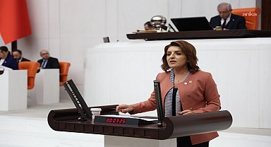CHP'li Kış, 