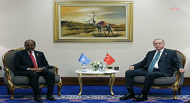  Cumhurbaşkanı Erdoğan, Katar’da Somali Cumhurbaşkanı Hasan Şeyh Mahmud ile görüştü