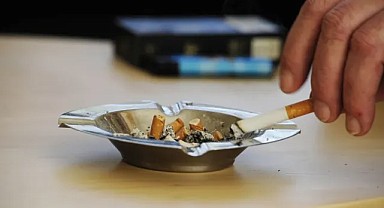 DSÖ tütün, alkol ve şekerli içecek lobilerini suçladı