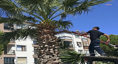 Edremit Belediyesi'nden park ve yeşil alanlarda bakım çalışması