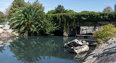 Fotoğraf tutkunları, Maltepe’nin renklerini keşfetti