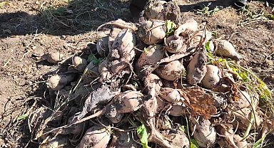 Gelecek Partisi Yozgat İl Başkanı Ömer Aydoğmuş: 