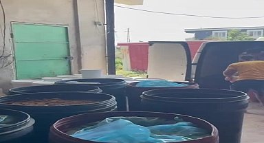 Hatay Antakya’da sahte salça denetimi: 36 ton ürün muhafaza altına alındı, 6 ton ürün imha edildi