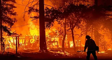 Orman yangınlarında hayatını kaybeden gönüllülere şehit statüsü