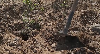 İzmir Büyükşehir Belediyesi, personel alımında yeni sistemi hayata geçiriyor