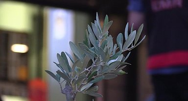 İzmir’den Muğla’ya destek... Çevreciler Akbelen için oturma eylemi yaptı 