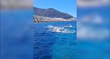 İzmirli Tuna’dan bir tarihi başarı daha