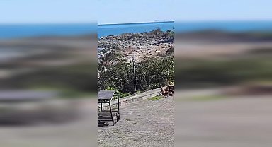 Karadeniz’de fırtına sonrası sahile vuran odunlar ihtiyaç sahiplerini harekete geçirdi