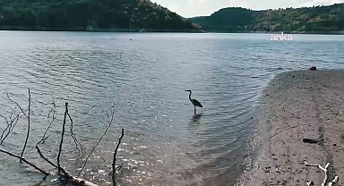 Karadeniz Ereğli'de baraj seviyesi yeniden kritik sınıra indi