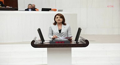 Köprü ve otoyolların özelleştirileceği iddiası... CHP'li Kış: 